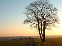 alleine - Deutsch Definition, Grammatik, Aussprache, Synonyme und ...