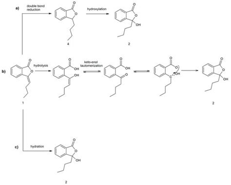 Microbial Synthesis and Evaluation of Fungistatic Activity of 3-Butyl-3 ...