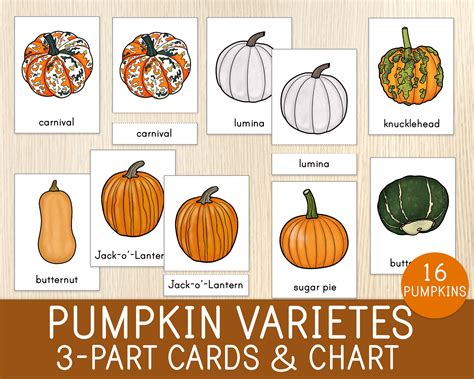 Pie Pumpkins Varieties