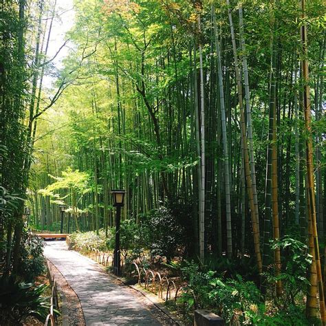 MANJO WATERFALL CAMPGROUND (Izu) - Campground Reviews & Photos ...