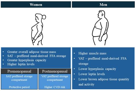 Sex- and Gender-Related Differences in Obesity: From Pathophysiological ...