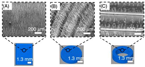 Surface Functionalization of 4D Printed Substrates Using Polymeric and ...