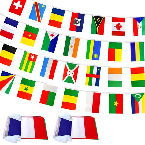 Different French Flags