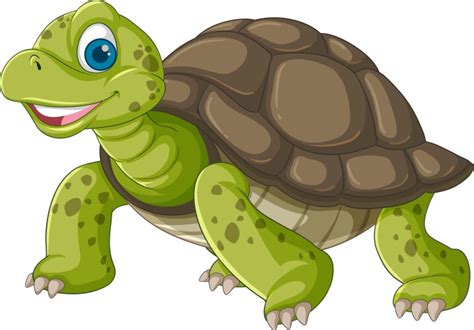 Image result for Turtle Shell Cartoon Texture