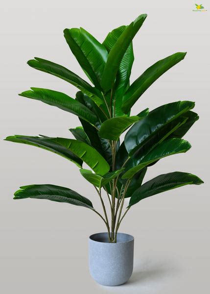 Artificial Birds of Paradise Plant - 78.7 cm, 21 Green Leaves with Bas ...