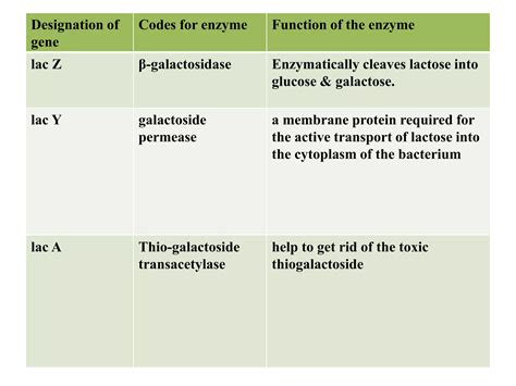 Image result for Positive Und Negative Regulation Lac Operon Chart