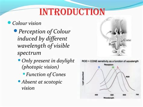 Color Vision 的图像结果