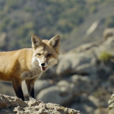 Top Ten: Samsung's Hilarious Note 4 Ads