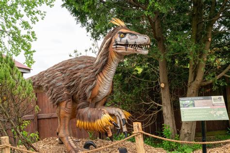 Utahraptor Facts