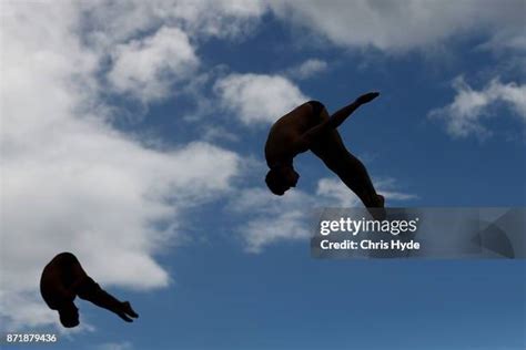 Image result for Diving Comp