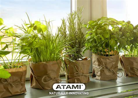 Why Growing Your Own Herbs at Home Is a Game Changer