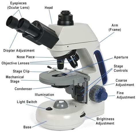 Image result for Compound Microscope for Exam
