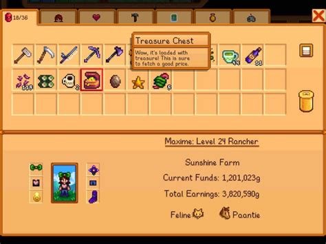 What can I do with this treasure chest? : r/StardewValley