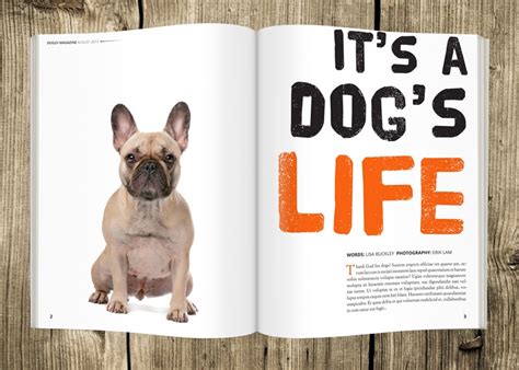 Image result for Indesign Layout Tips