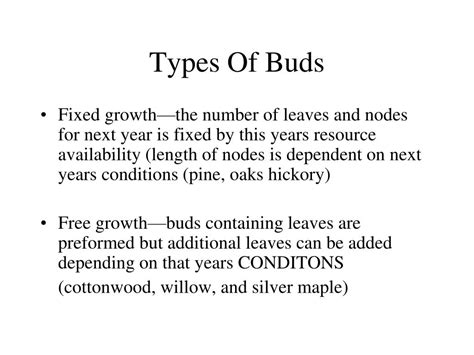 Image result for Growth Tree Object Lesson CEF