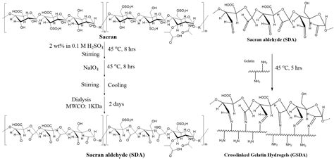 Enhancing Gelatine Hydrogel Robustness with Sacran-Aldehyde: A Natural ...