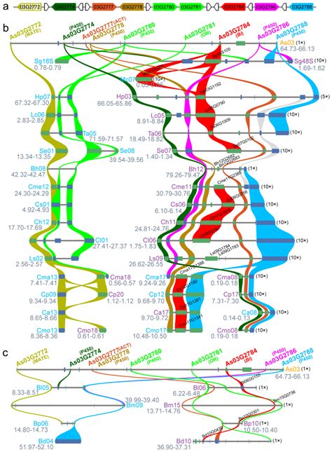 Aquilaria sinensis: An Upstart Resource for Cucurbitacin Production ...