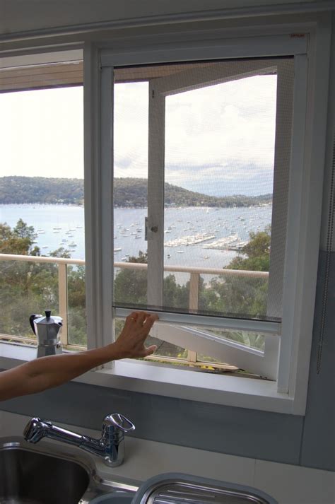 Window Fly Screen 的图像结果