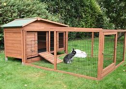 Image result for Rabbit Accommodation