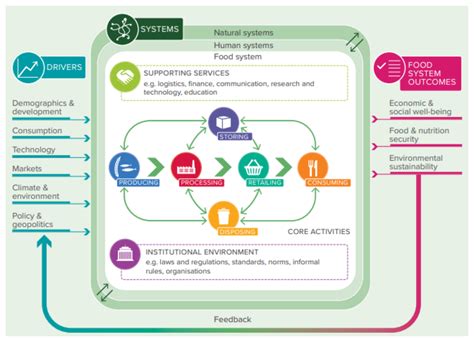 SDG Performance in Local Organic Food Systems and the Role of ...