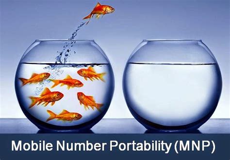 Step by Step Guide for Mobile Number Portability | MNP Process