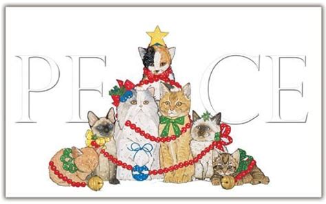 Pipsqueak Productions C570 Cat Holiday Boxed Cards : Amazon.in: Toys ...
