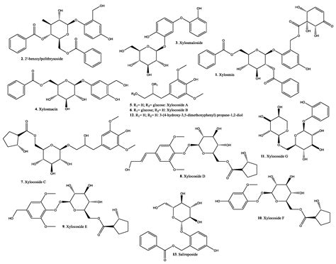 Xylosma G. Forst. Genus: Medicinal and Veterinary Use, Phytochemical ...