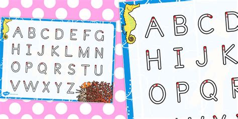 SA Great Barrier Reef Themed Letter Writing Worksheet