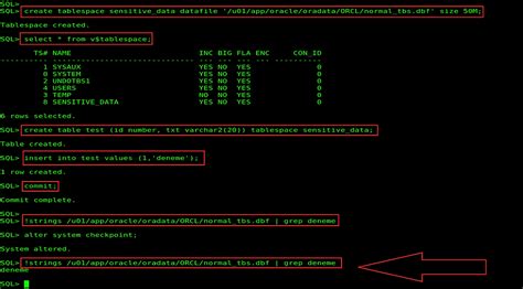 Image result for How to Configure Oracle Transparent Data Encryption