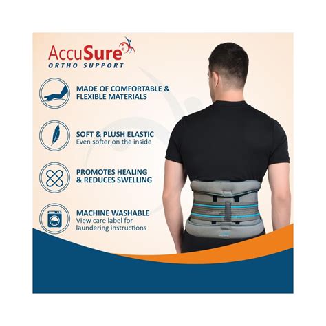 Accusure Eco Frame Back Support Belt (B13) - Small - Cureka - Online ...