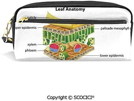 Students PU Pencil Case Pouch Women Purse Wallet Bag Anatomy of a Leaf ...