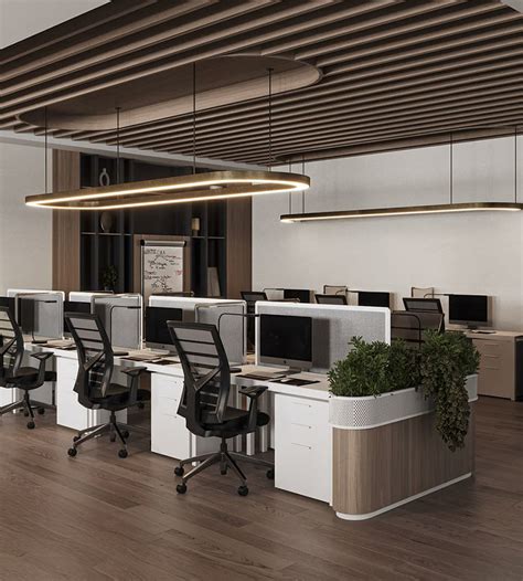 Grey-Toned Executive Workspace with Biophilic Boundaries – Davinciya