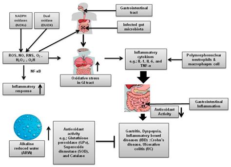 Effects of Alkaline-Reduced Water on Gastrointestinal Diseases