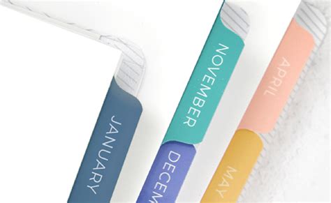 Image result for Plum Paper Reflection