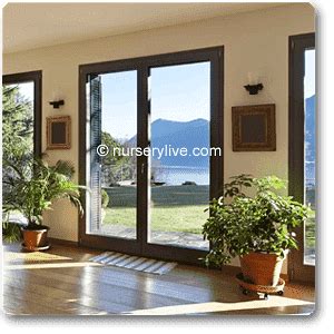 Buy Compact 1BHK (Economy) Plant Decor Pack online from Nurserylive at ...