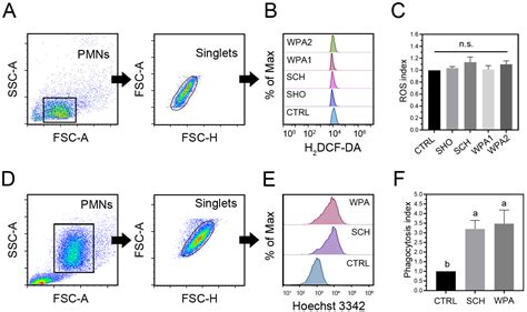 Divergent Immune Responses to Minor Bovine Mastitis-Causing Pathogens