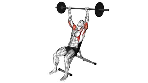 Barbell Incline Shoulder Press (Male) - Video Guide & Tips