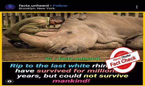 Fact check: Has last surviving white rhino on earth passed away?
