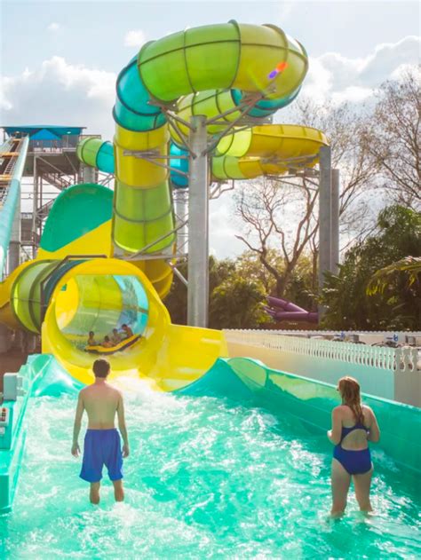 Adventure Island 的图像结果