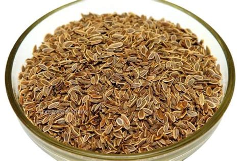 GODSOWNCOUNTRYIN Dill seeds - Anethum graveolensis, Sowa, Soya Dillweed ...