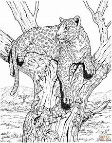 ausmalbilder tiere leopard pin auf ausmalbilder ausmalbilder tiere leopard pin auf ausmalbilder