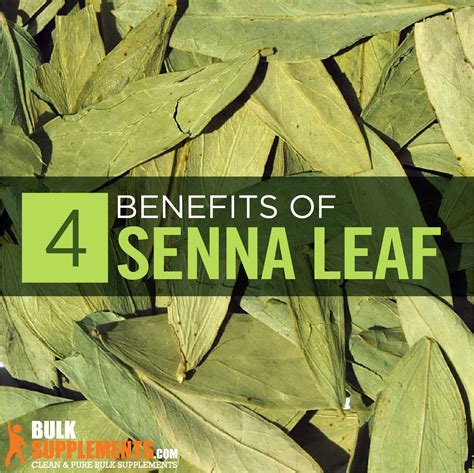Senna Plant Benefits