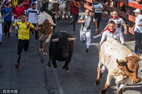 西班牙举办“奔牛”活动 “牛追人”挑战勇气胆量