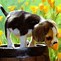 Image result for Spring Puppy Backgrounds