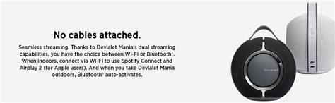 Devialet Mania - Smart Portable Speaker, Alexa Enabled, 360 Stereo ...