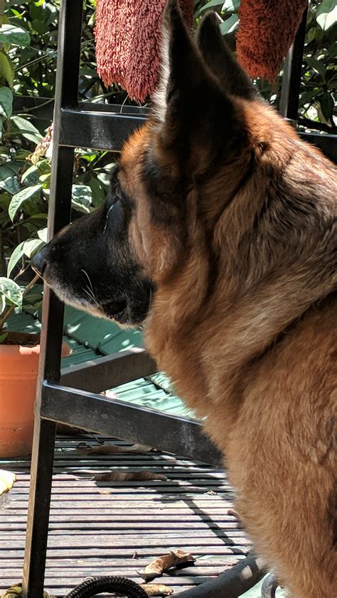 Image result for Speed Run 4 Roblox Levels