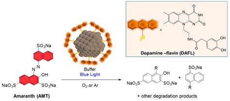 Flavin-Conjugated Iron Oxide Nanoparticles as Enzyme-Inspired ...