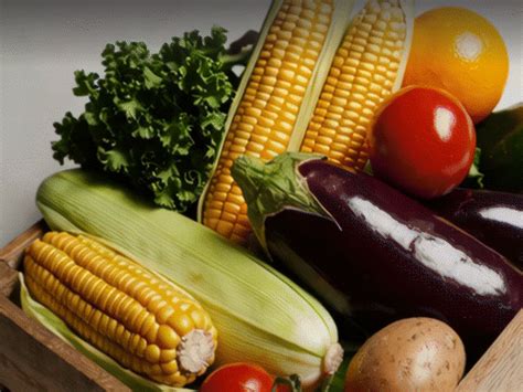 These superfoods will protect from diseases during monsoon | Bhaskar ...