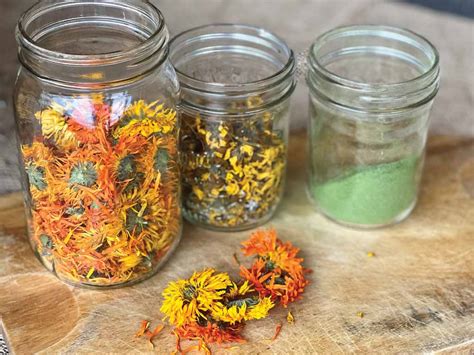 Herbal Medicine 的图像结果