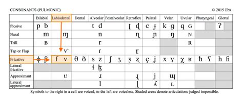 Image result for CV Application Form Made by Using HTML